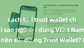 cách tải trust wallet cho android Tại sao người dùng Việt Nam nên sử dụng Trust Wallet? Lợi ích và rủi ro